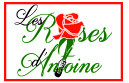 Les Roses d'Antoine